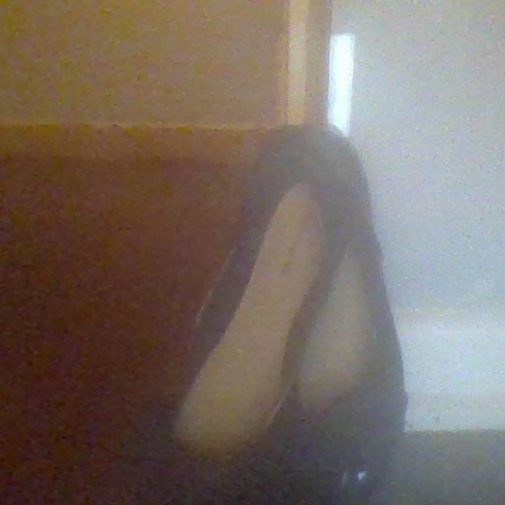 Black bow Flats